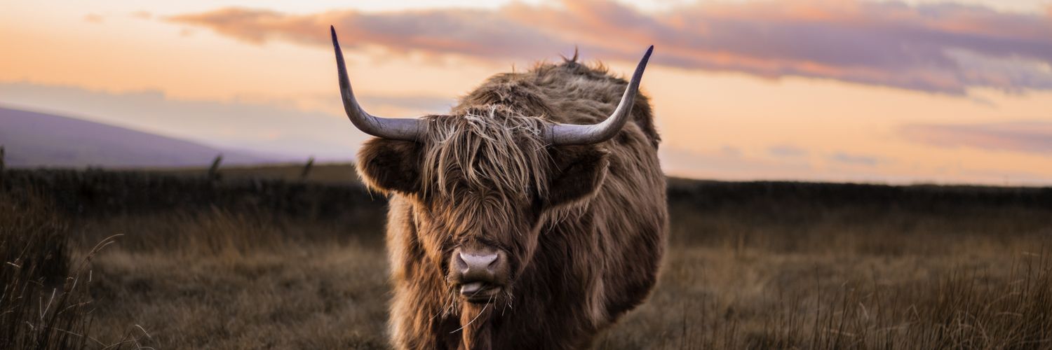 CampStainforth's profile banner image