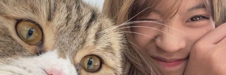 ชลภ • chollypp ₊˚⊹ banner