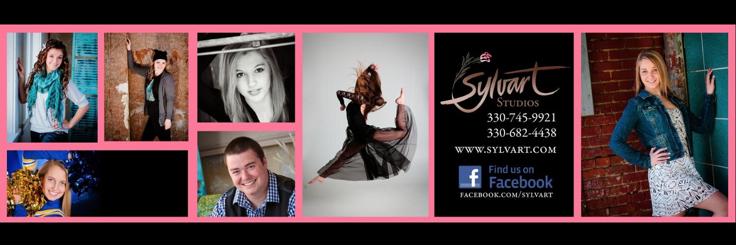 sylvartstudios's profile banner image
