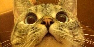 Winda_ismail's profile banner image
