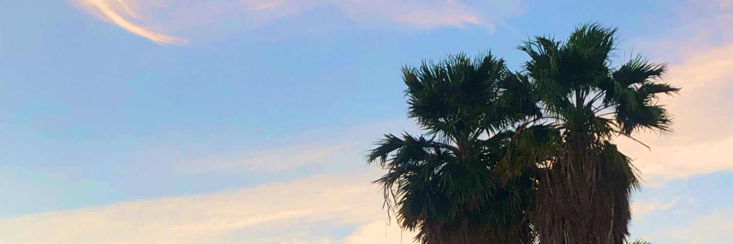 andreuhhmc's profile banner image
