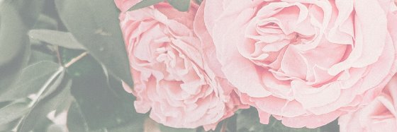bobbieplaisted's profile banner image