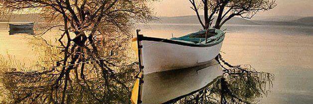 Nanda_Jaque's profile banner image