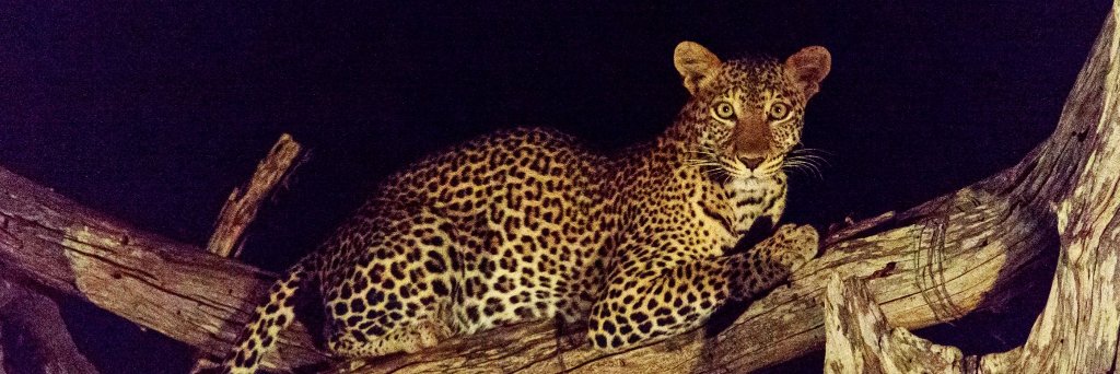 F14V!U5 F3RN4ND35 banner