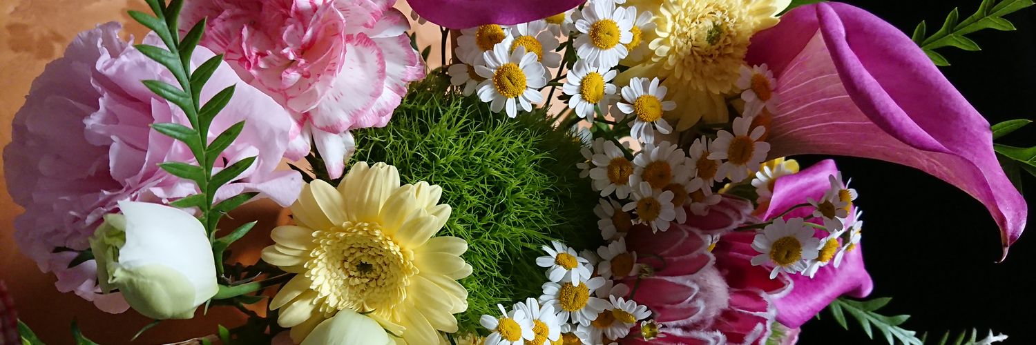 takehiroko's profile banner image