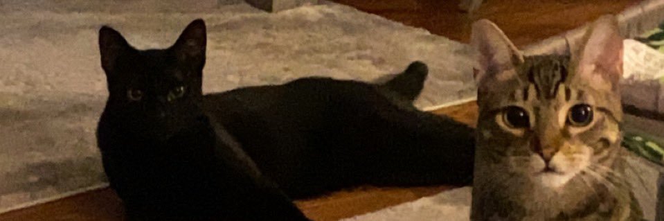 twanballs's profile banner image