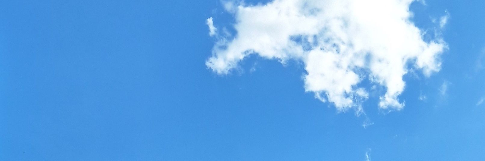 unbearable banner