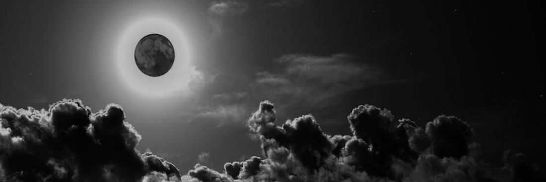 Pelired🌛❤🇵🇸 banner