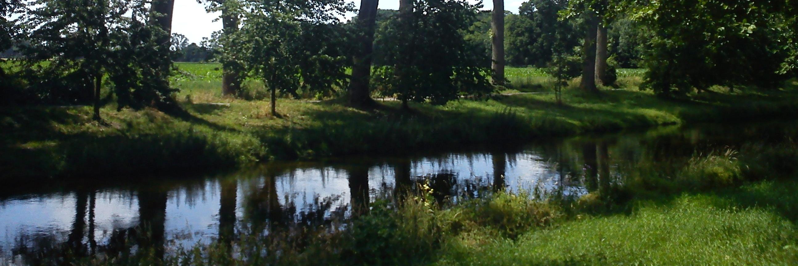 Verbalästhet banner