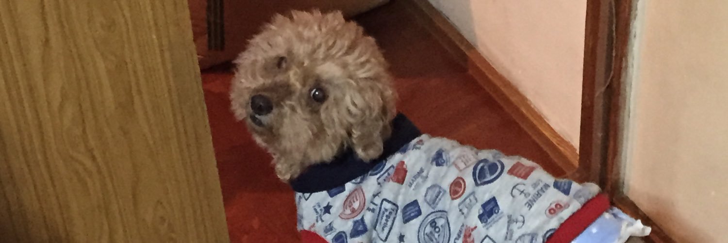 田口 佑磨 banner