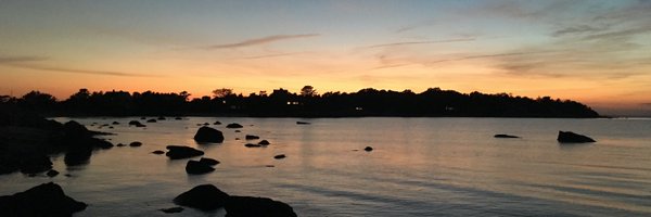 kate_schertz Profile Banner