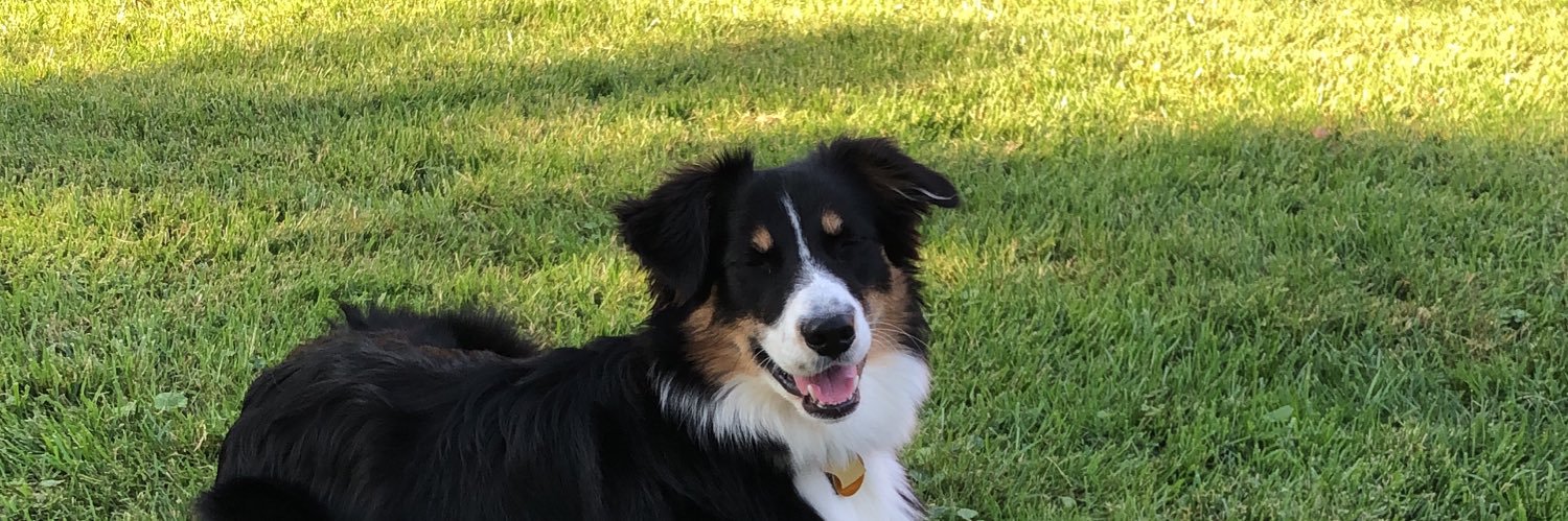 Patti Sharpless banner