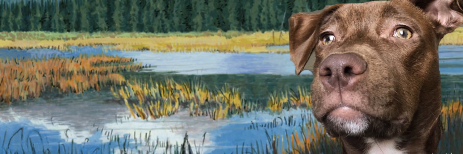 Ryramirez7's profile banner image