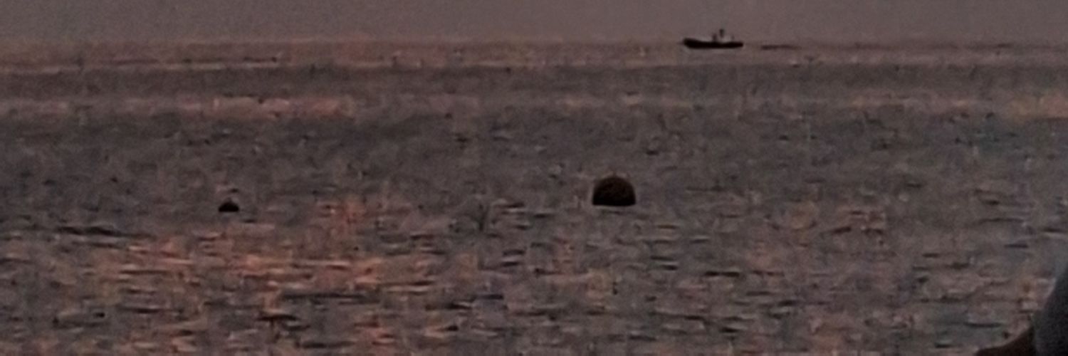 maeges_'s profile banner image