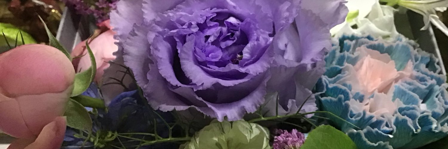 love26rose's profile banner image