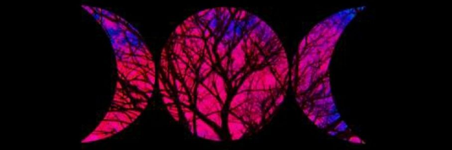 95LilMsSunshine's profile banner image