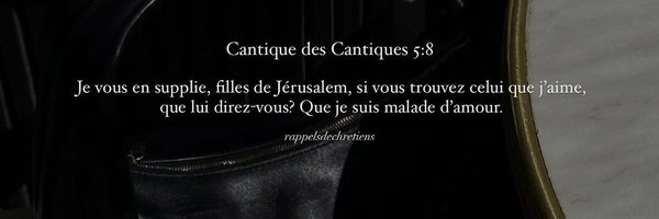 NayiiPanPan Profile Banner