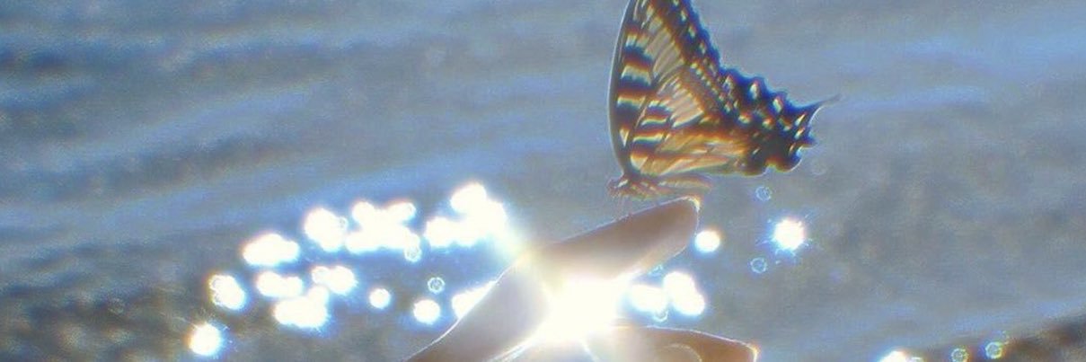 S809_'s profile banner image