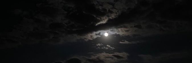 potential2021's profile banner image