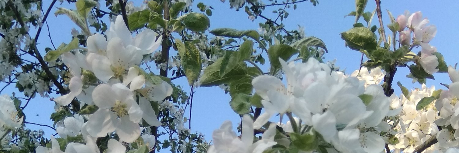 Sky191 banner