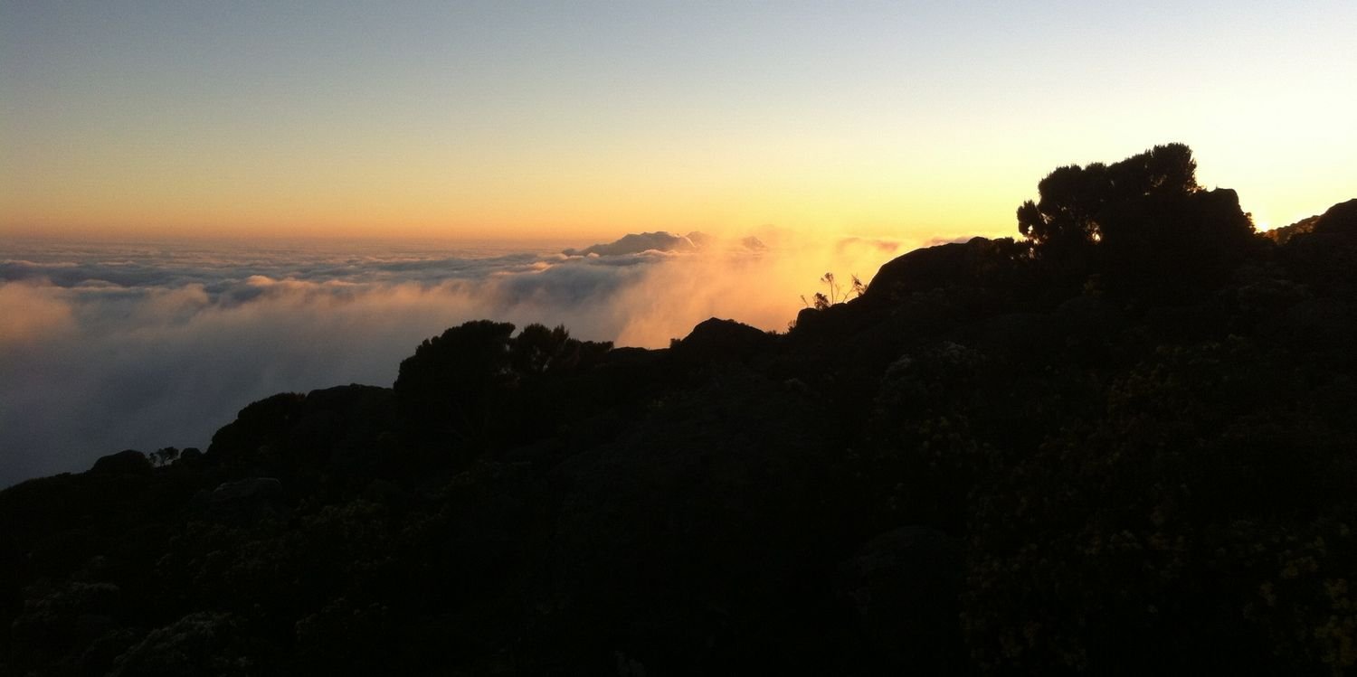 __NZ's profile banner image