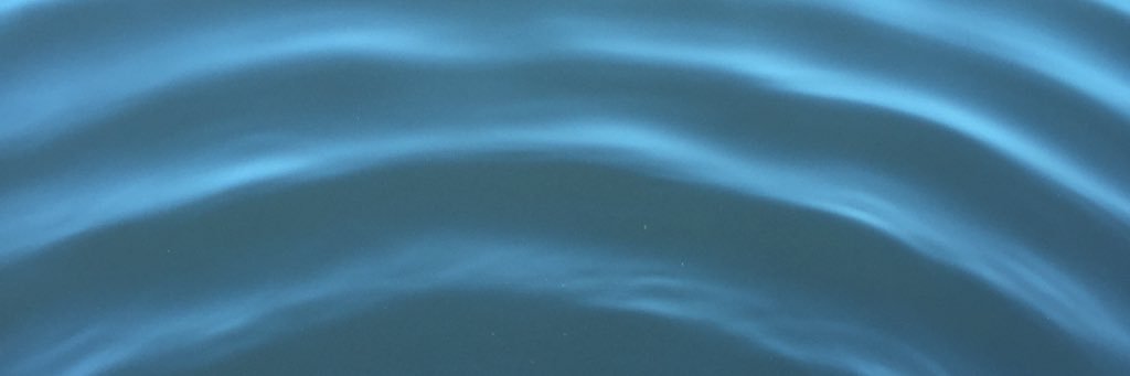 annawies's profile banner image