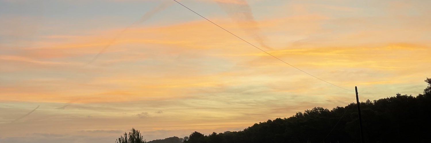 xsellys's profile banner image