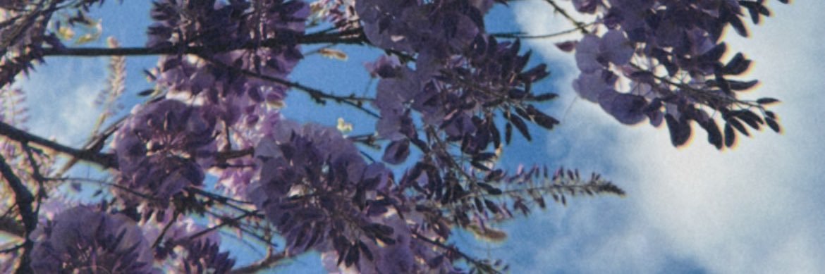 alix_rrt's profile banner image