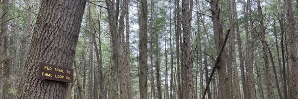 GSkandalakis Profile Banner