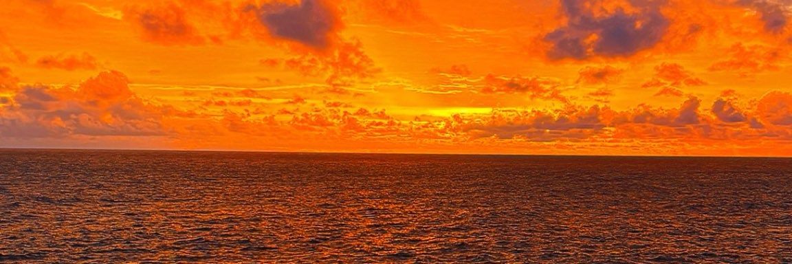 Moustapha Thiam banner