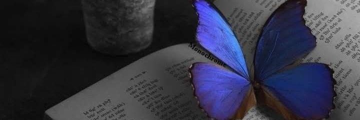 ح ـــلم♪آلحـيـاة banner