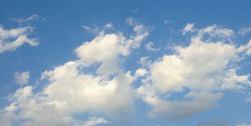 maho_marimo's profile banner image