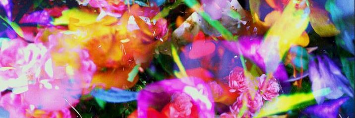 DeannaMD's profile banner image