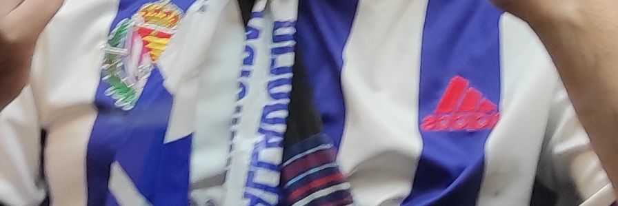 elcarlinesRVCF banner