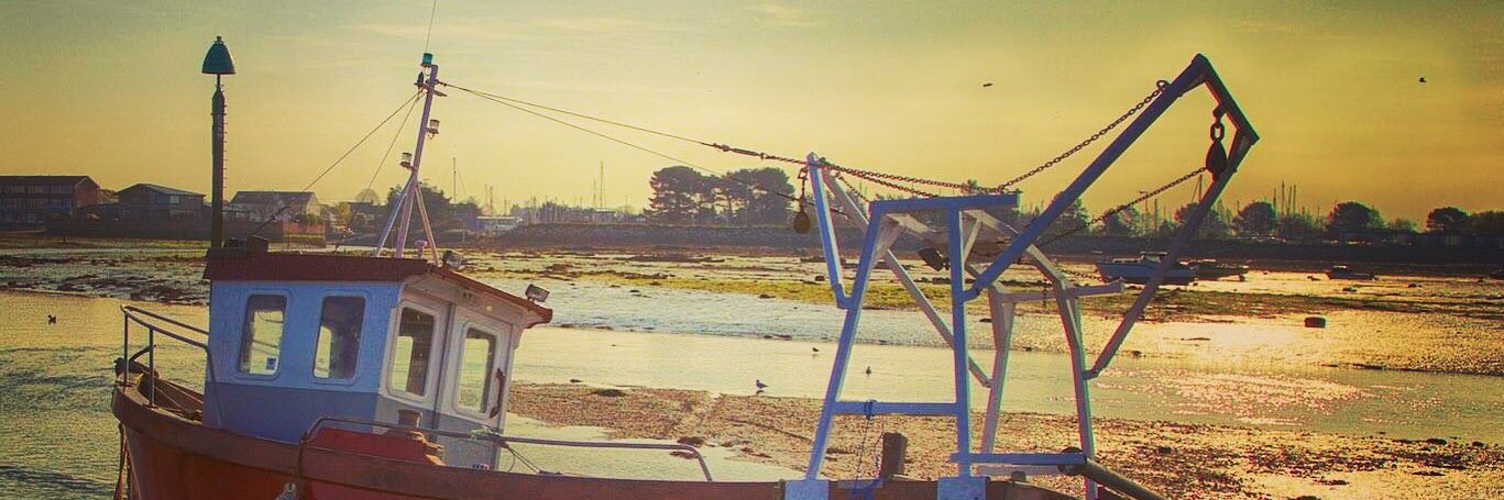 Emsworth Life banner