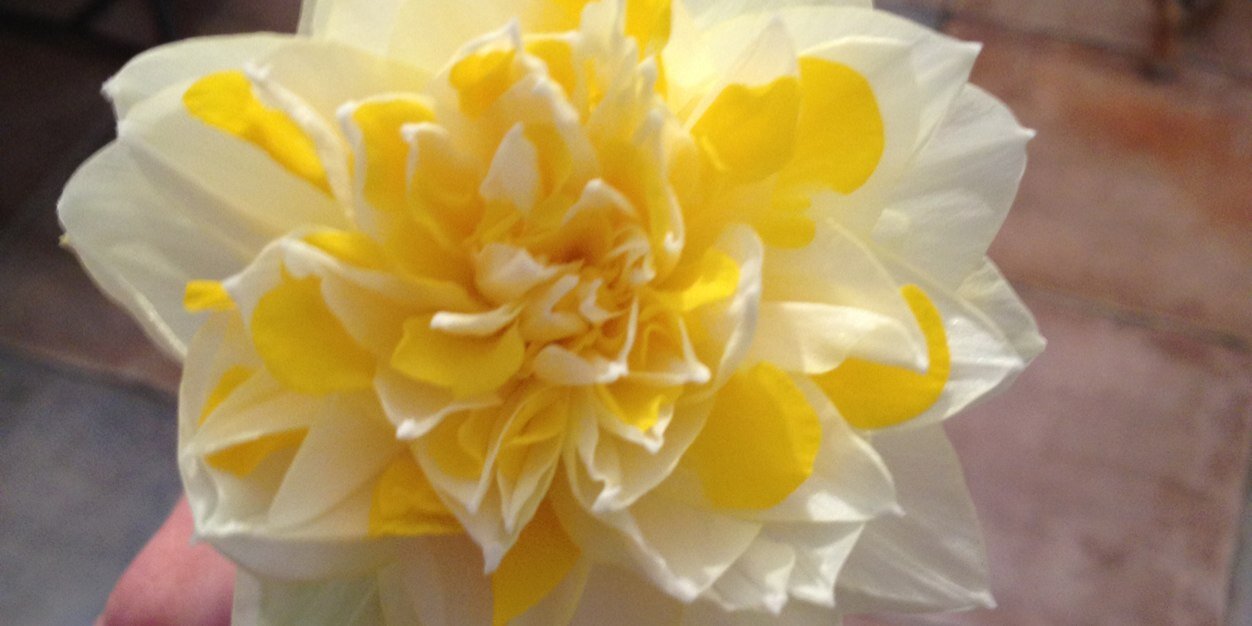 Becki_Chambers's profile banner image