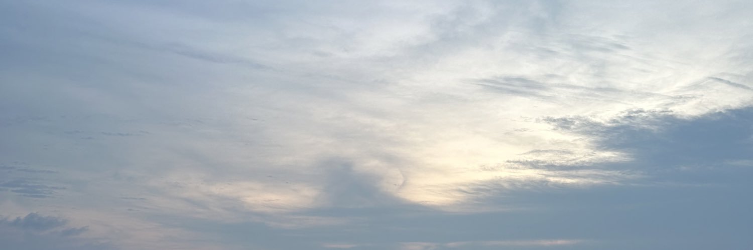 ninzies's profile banner image