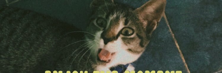 Larissa 🪷 banner