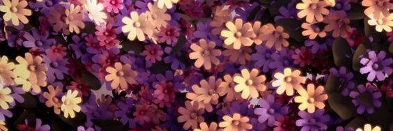 carepmf's profile banner image