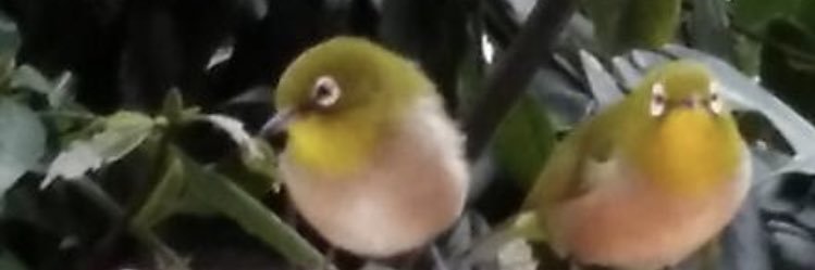 TinteLover's profile banner image