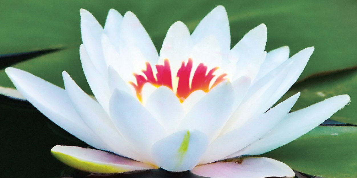 DebbieG68905547's profile banner image
