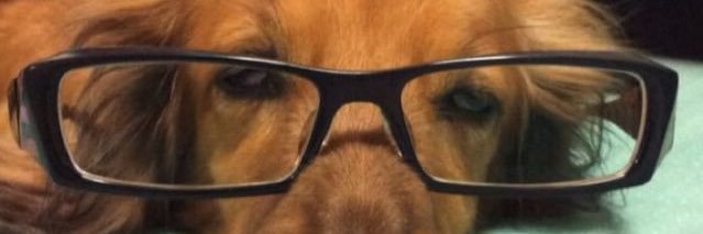 beckn_t's profile banner image