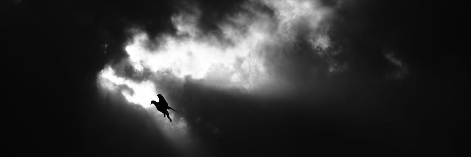 ritikdon10's profile banner image