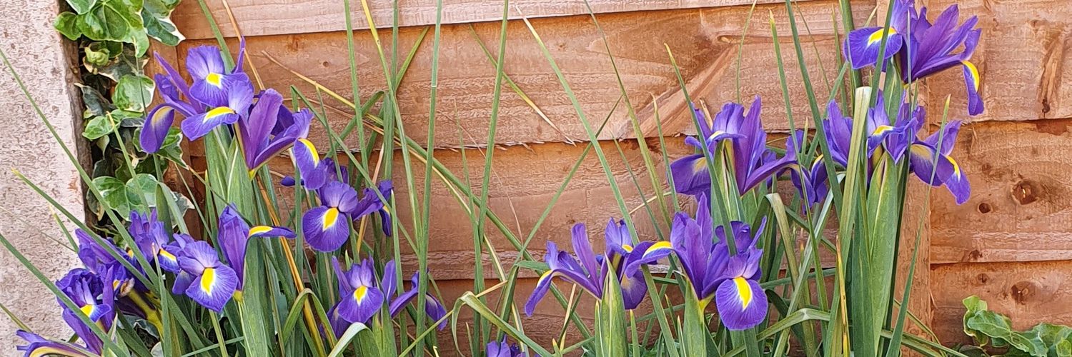 Quebee79's profile banner image