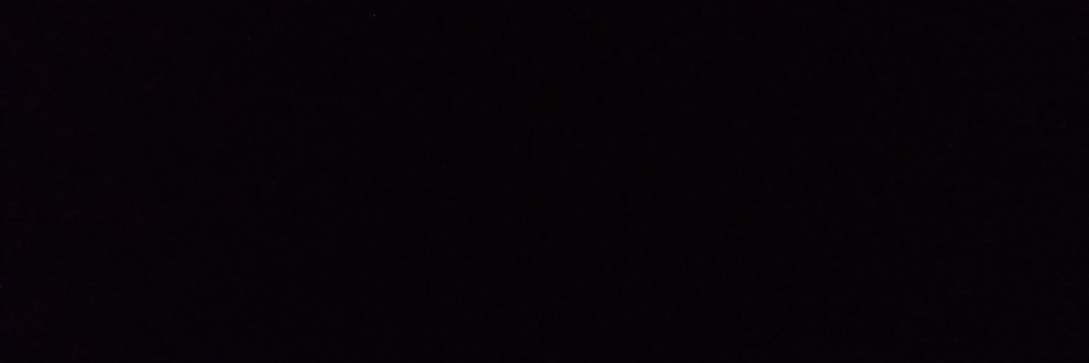 Arya banner