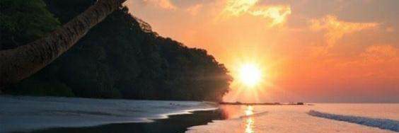 Sarah_Fala's profile banner image