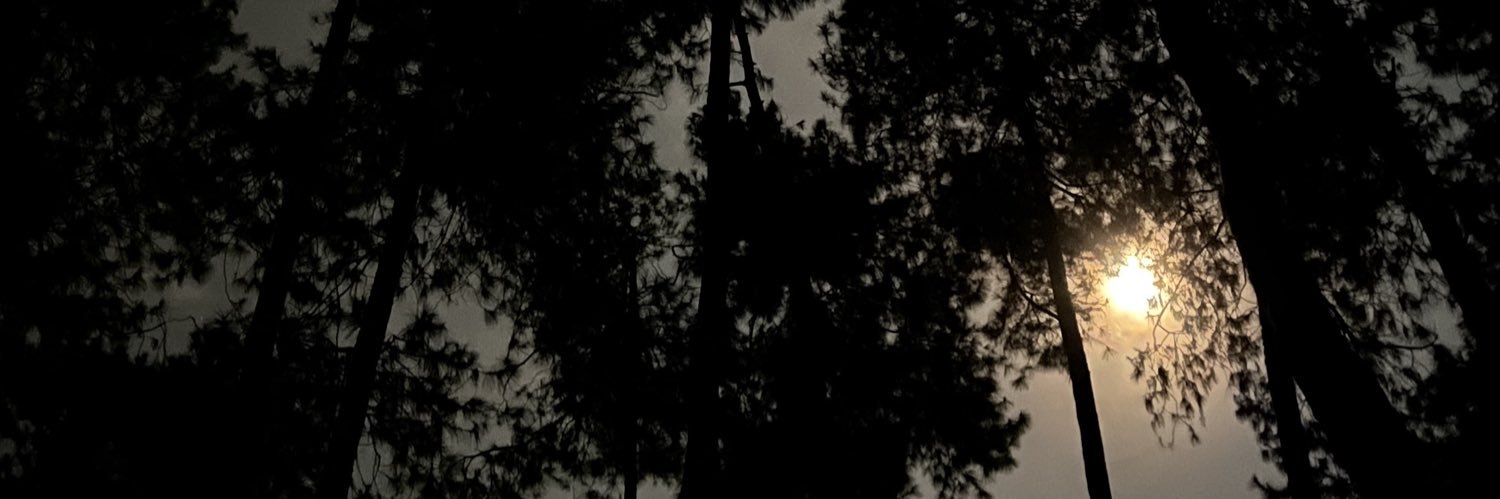 bobobmbob1's profile banner image