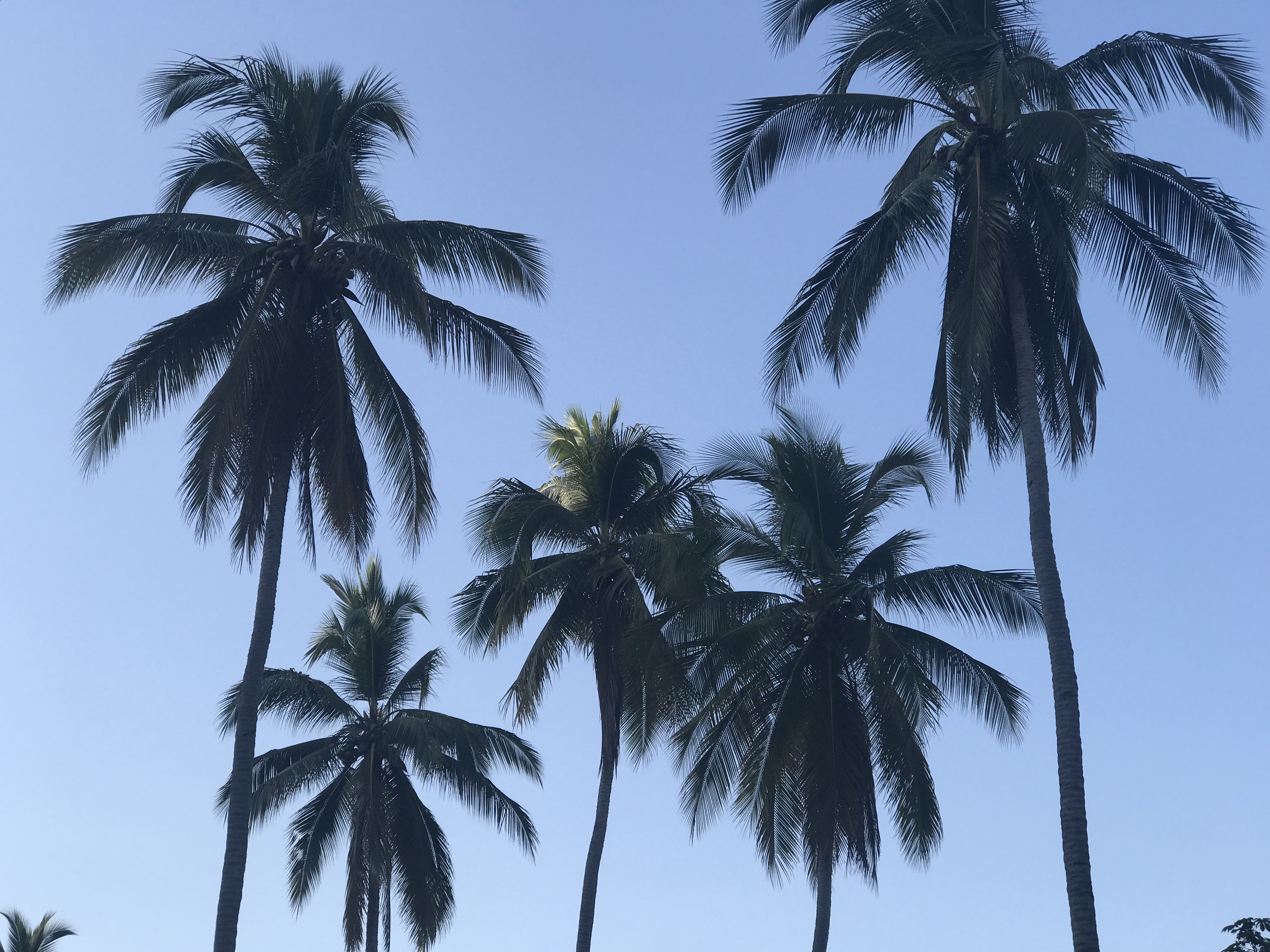 nhjy's profile banner image