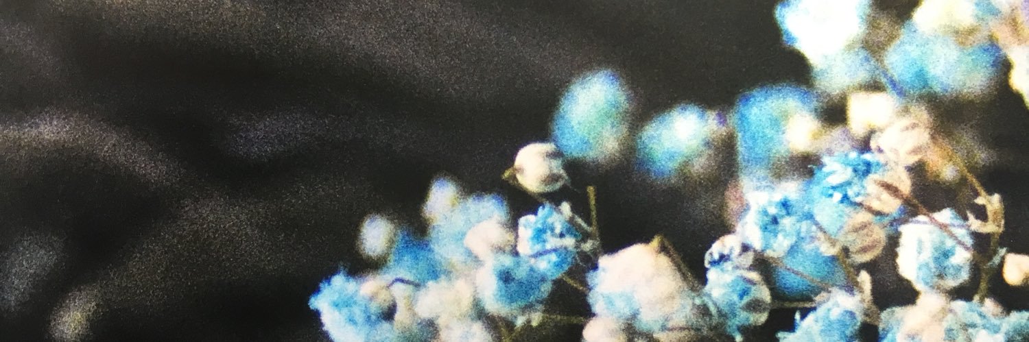 yk_tsro's profile banner image