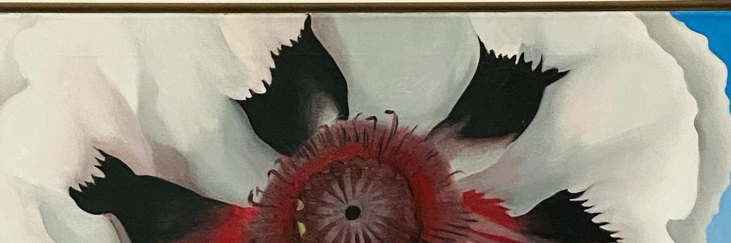hildavdrz banner